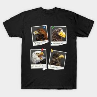 Birds of prey T-Shirt